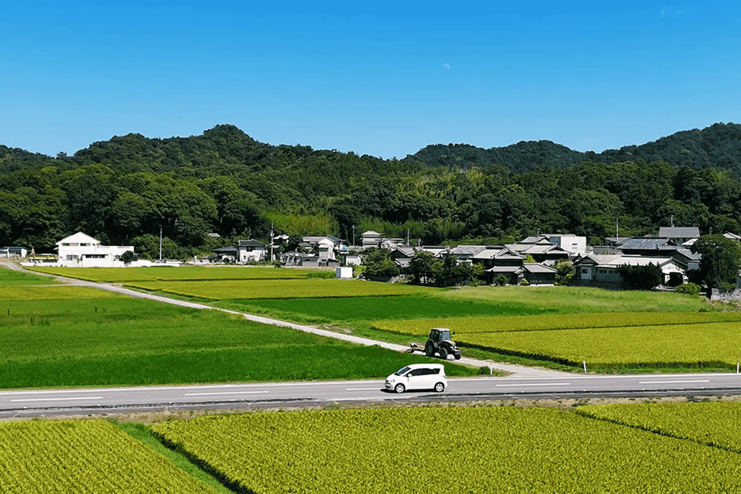 香川県さぬき市の田園風景|花の古民家の周辺環境